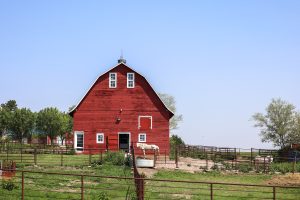 Más migrantes en EEUU: la solución que busca Nebraska ante la falta de trabajadores