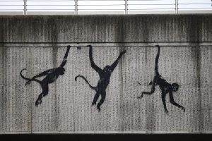 Banksy libera animales del zoológico de Londres como final de una intrigante serie de obras