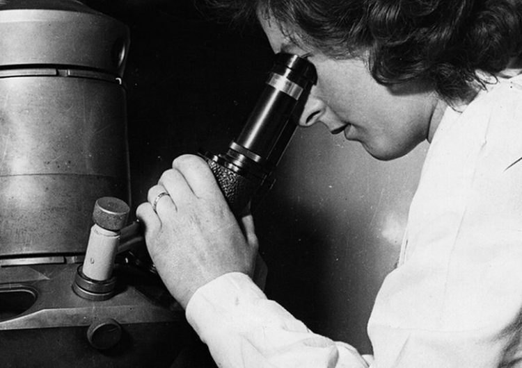 Cómo fue identificado el primer virus de la historia (y qué pasó después de su descubrimiento)