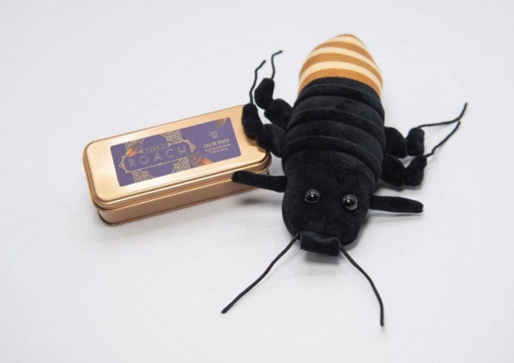 Para San Valentín, nada dice amor como una cucaracha de Madagascar