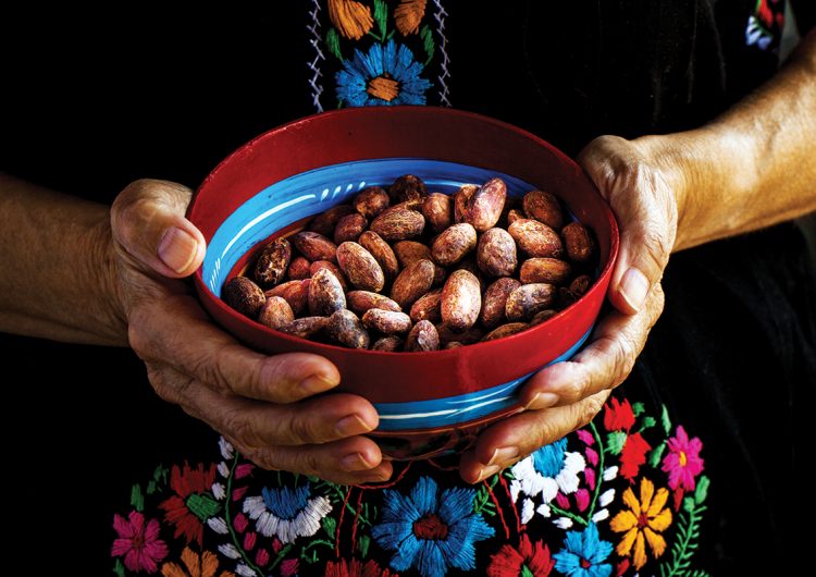 ¿Por qué el cacao mexicano está en crisis?