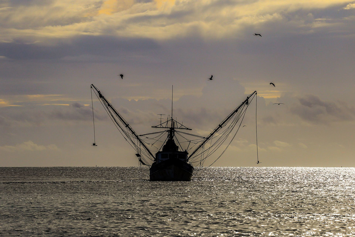 Cada año es más difícil para los pescadores encontrar recursos marinos. Foto: Elizabeth Ruiz/Cuartoscuro
