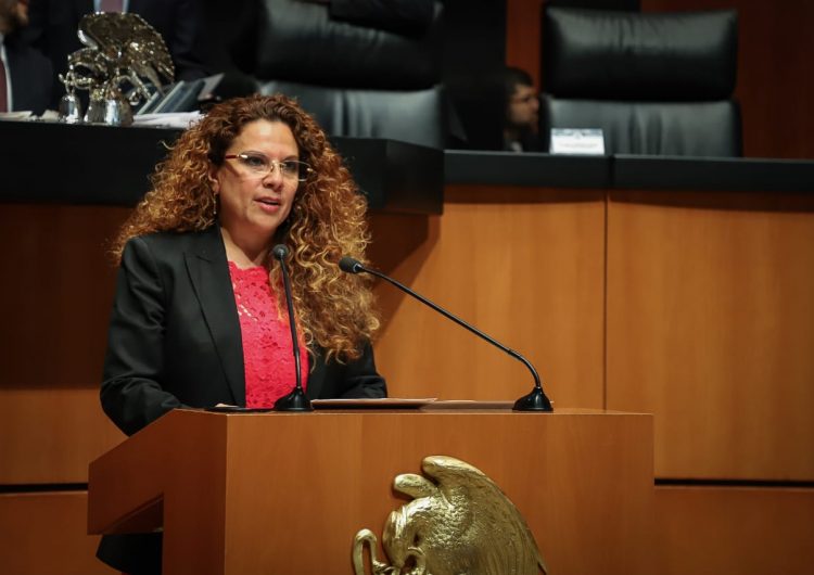 Es urgente un trato digno a las mascotas en riesgo de violencia: Rocío Abreu
