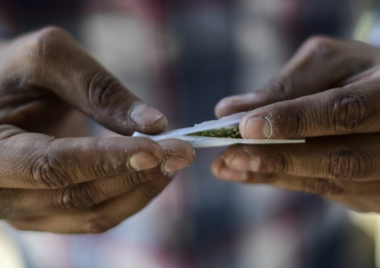 Cámara de Diputados aprueba legalizar la marihuana de uso recreativo