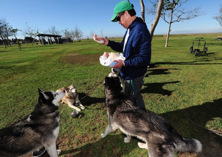 25 alimentos de humano que son mortales para los perros