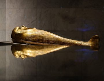 Descubren “la ciudad antigua más grande” de Egipto
