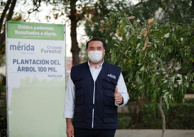 Alcalde Mérida responsable de negligencias mortales