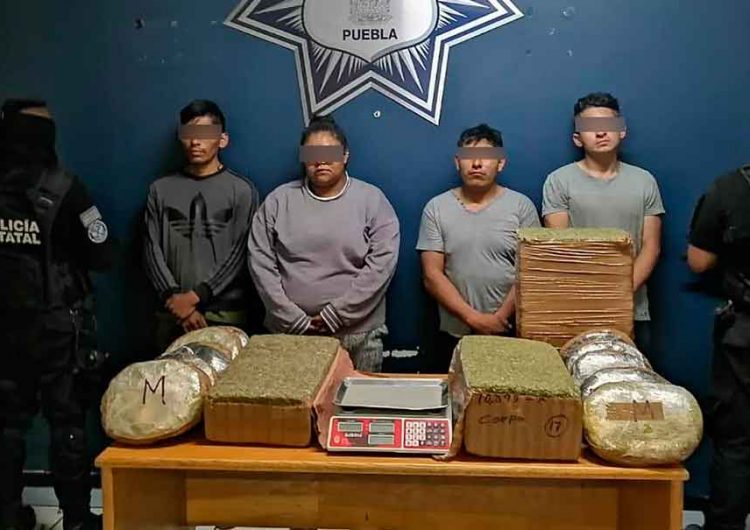 Con 50 kilos de marihuana detienen a narcomenudistas en Puebla