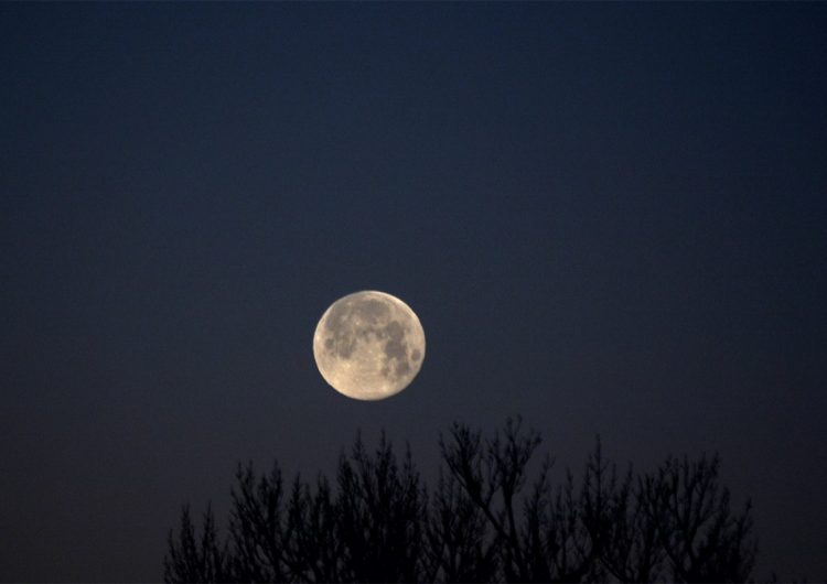 A qué hora podrá verse esta noche la Luna Rosa, la primera ...