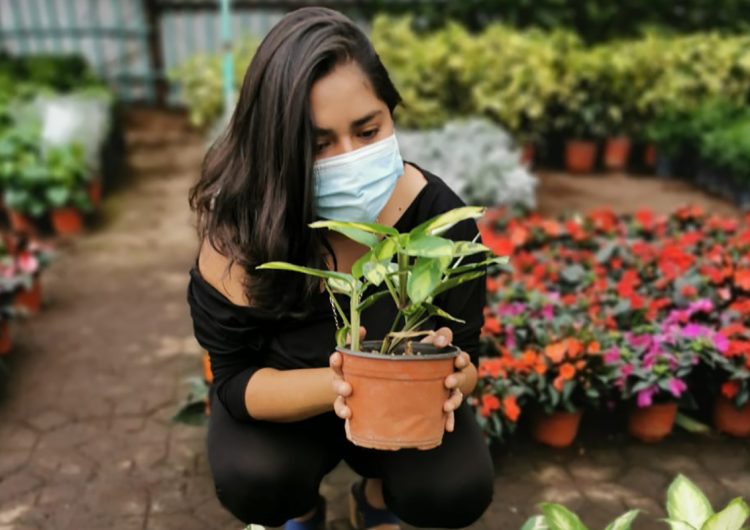 Conectar con las plantas, el aprendizaje de una joven emprendedora en la pandemia