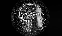El cerebro humano moderno apareció hace menos tiempo de lo que se pensaba, según un estudio
