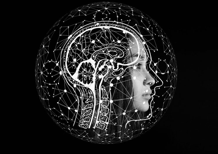 El cerebro humano moderno apareció hace menos tiempo de lo que se pensaba, según un estudio