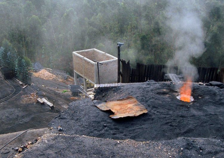 El mundo necesita un planeta verde, pero está en alerta roja: ONU