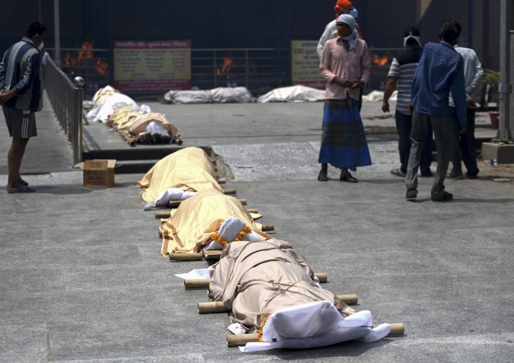 India: médicos detectan infección por hongos ‘extraña y mortal’ en pacientes con covid-19
