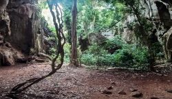 Descubren el entierro humano más antiguo de África