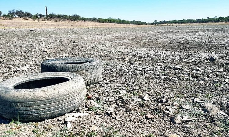 “Hace dos meses se secó la presa”: los estragos de la sequía en Aguascalientes