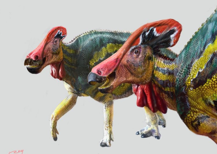 Paleontólogos descubren nueva especie de dinosaurio ‘parlanchín’ en México