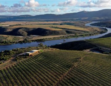 ‘Traumático incidente’: explosión produce un río de vino tinto