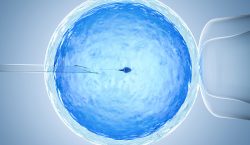 Tecnología reproductiva, una opción que combate los estigmas sobre la maternidad