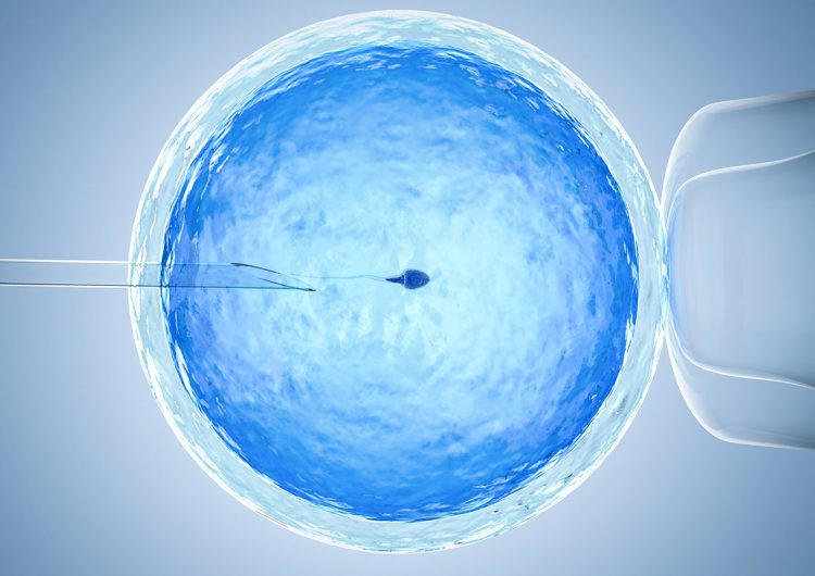 Tecnología reproductiva, una opción que combate los estigmas sobre la maternidad