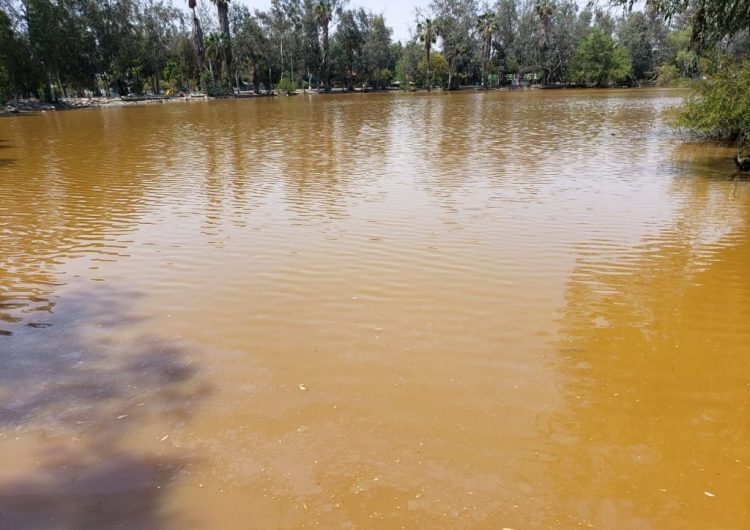 Denunciará CESPT a empresas que contaminaron lago de parque de La Amistad