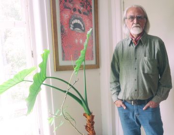 El tren de Felipe Carrillo Puerto y los derechos políticos de las mujeres yucatecas