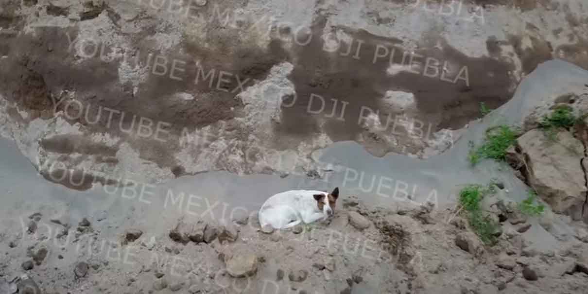 Otro 'lomito' cae en socavón de Puebla
