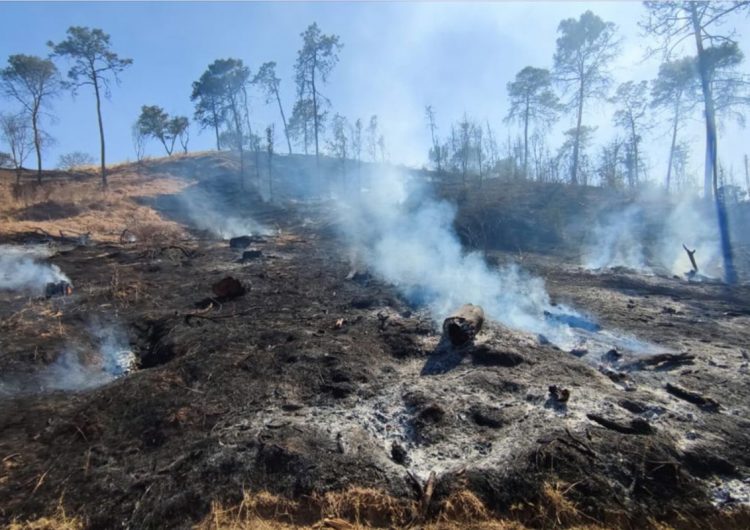 Incendios forestales, poca precipitación pluvial y vientos fuertes azotan al país