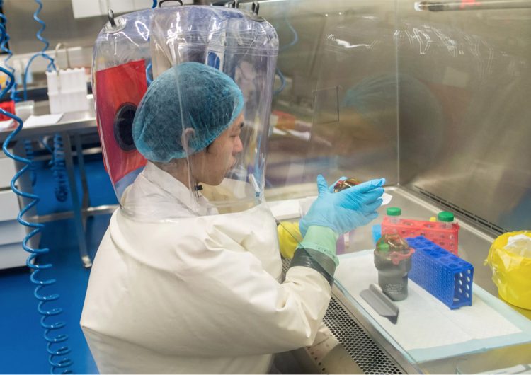 Video del laboratorio de Wuhan con murciélagos enjaulados aumenta especulación sobre origen de la pandemia