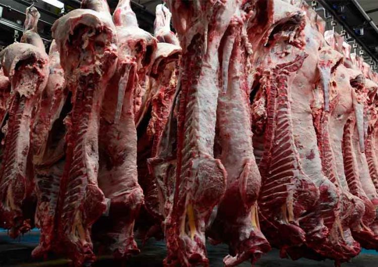Rastros clandestinos pone en riesgo salud de poblanos