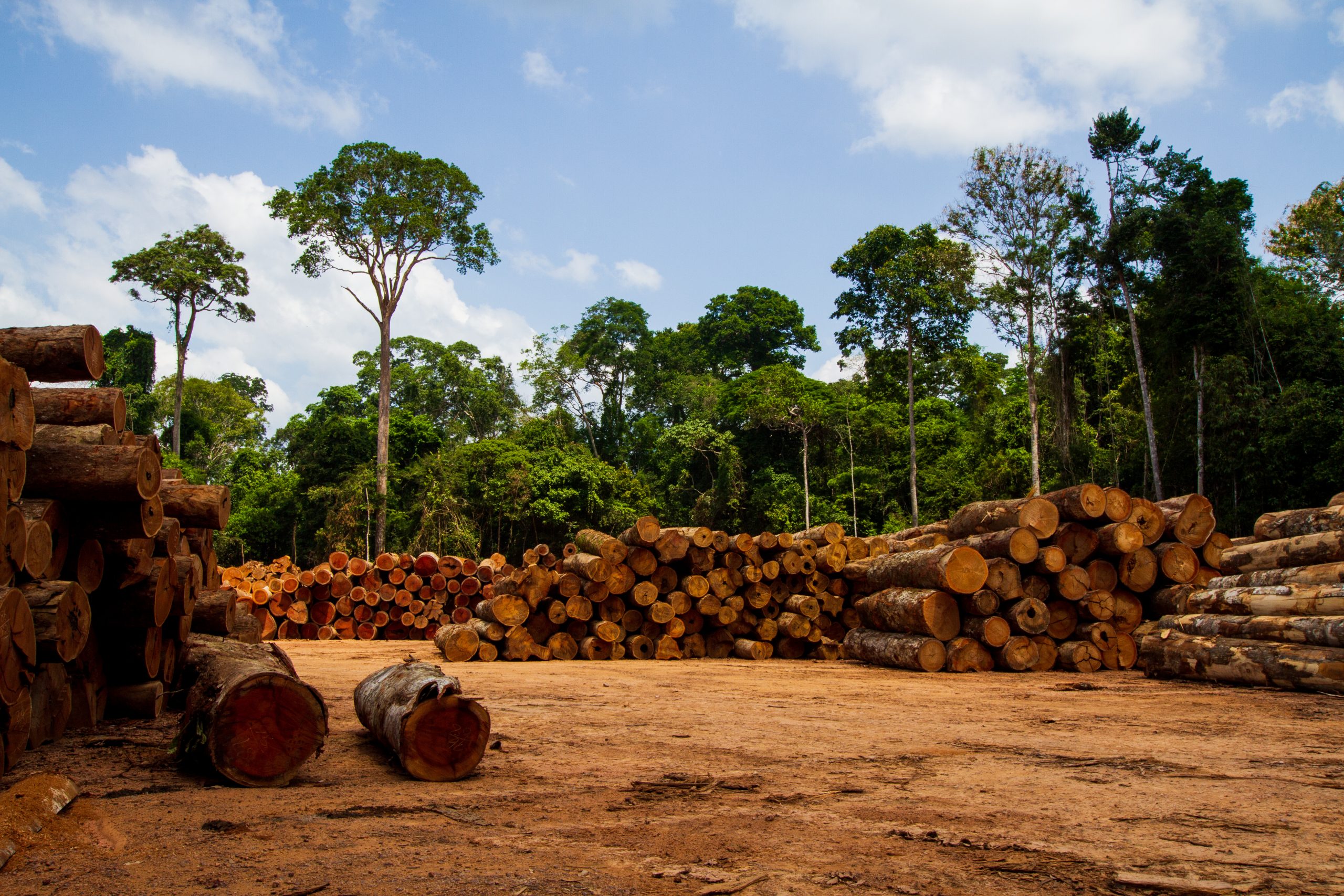 Amazonas deforestación