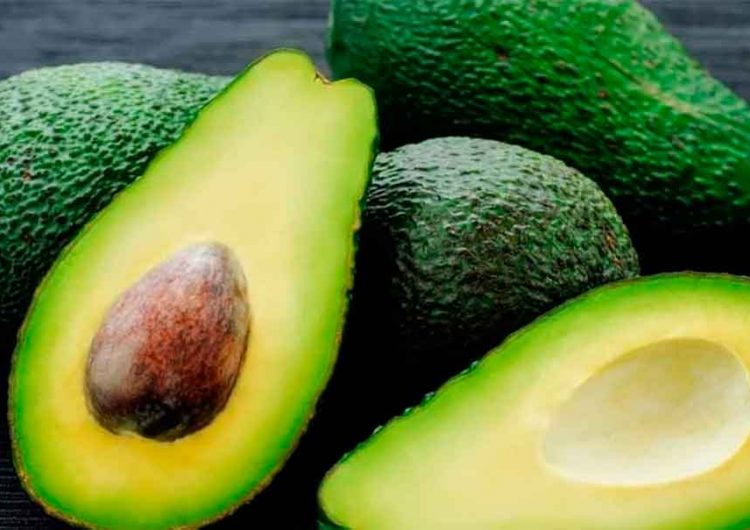 Auge de aguacate beneficia a agricultores mexicanos: Luis Doporto Alejandre