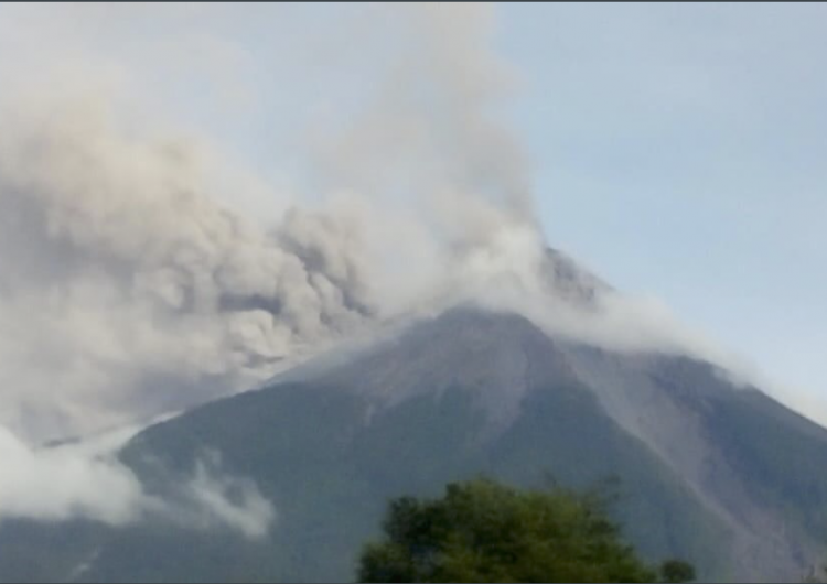 Guatemala: volcán de Fuego entra en erupción; arroja lava, bloques incandescentes y crea columna de ceniza