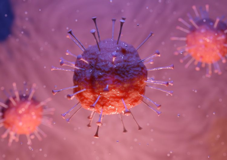 Alaskapox: el nuevo virus relacionado con la viruela