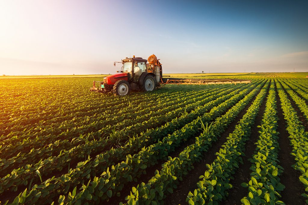 La Agricultura Sostenible Es Clave Para Brindar Seguridad Alimentaria