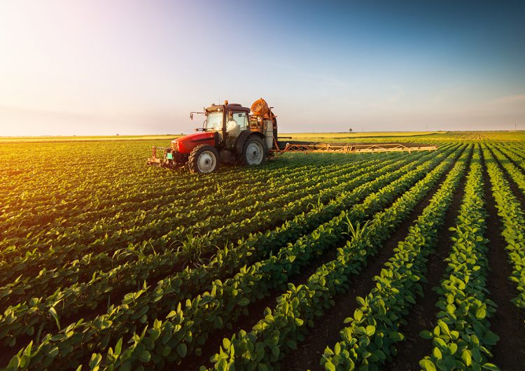 La agricultura sostenible es clave para brindar seguridad alimentaria
