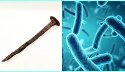Leptospirillum: una bacteria que come metal y puede devorar un clavo en tres días