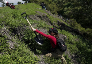 Grupos de voluntarios buscan a casi 100,000 personas desaparecidas en México