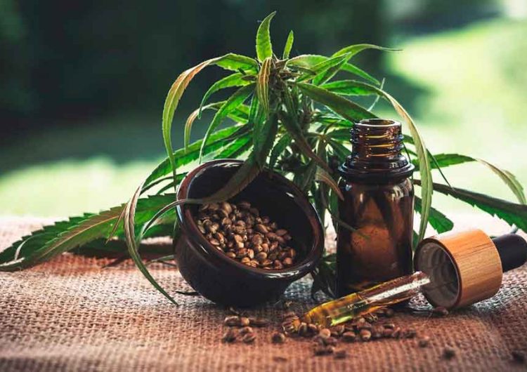 ¿Quieres invertir en cannabis? Este Congreso en Cancún te dice cómo hacerlo