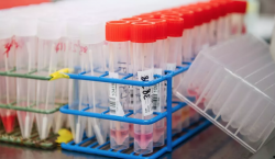 Combinación de medicamentos probada en hámsteres ‘domina efectivamente’ infección del covid-19