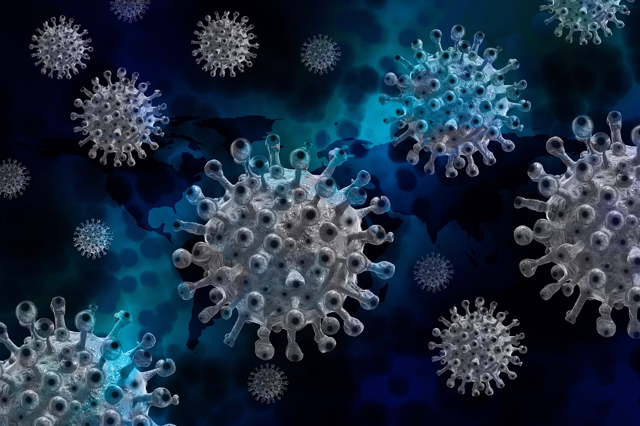 Los estudios más recientes sugieren que la inmunidad híbrida se debe, al menos en parte, a los reproductores inmunológicos llamados células B de memoria. Foto: Pixabay