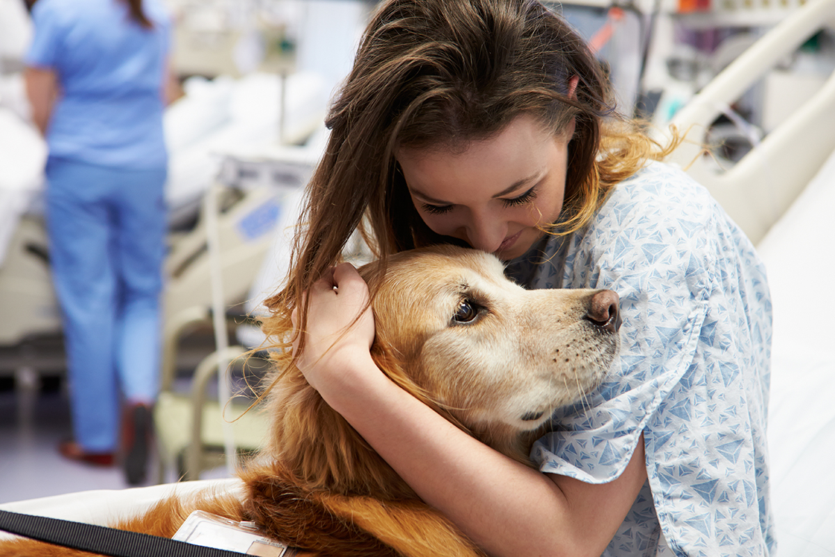 La terapia con perros favorece distintas facetas de un paciente. (Foto: Adobe Stock)