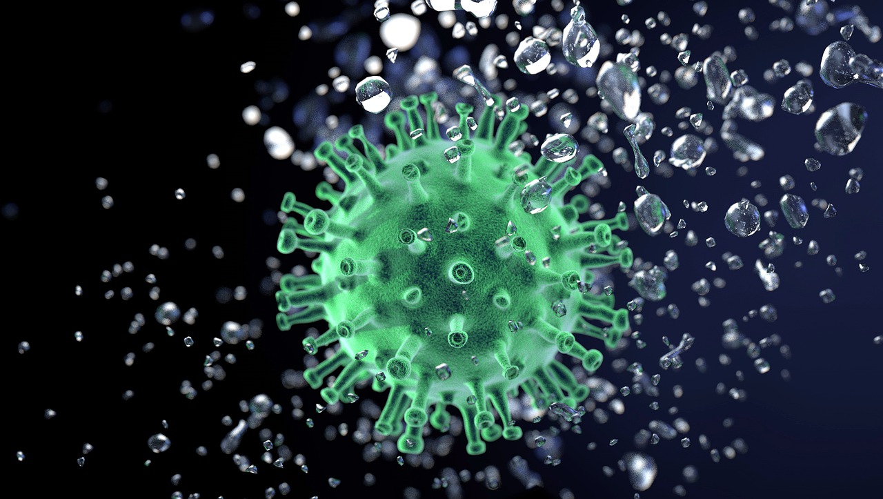 Las pruebas anti-S buscan anticuerpos contra la proteína de espiga (S) en la superficie del virus. Foto: Pixabay
