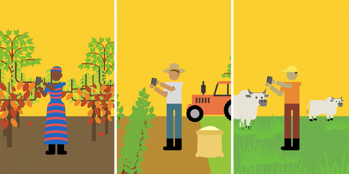 Los agricultores obtienen información acerca de su desempeño social, ambiental y económico y pueden gestionar las mejoras de sus fincas. (Imagen: Solidaridad)