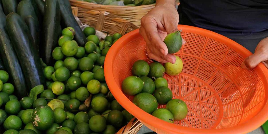 Hasta 60 pesos el kilo de limón en Puebla, familias dejan de comprarlo