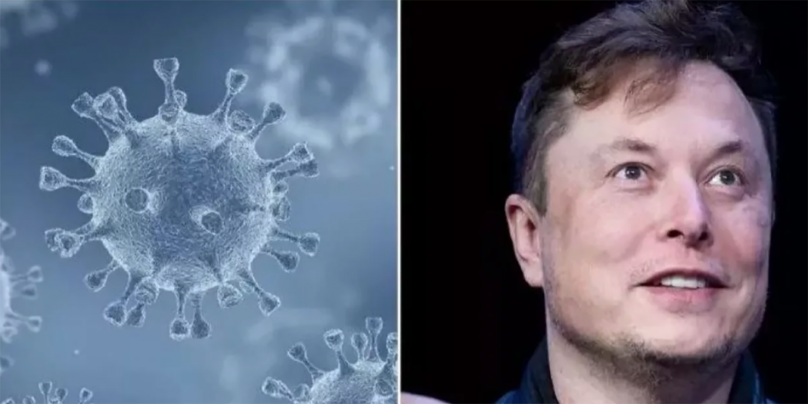 Hace poco, Musk tuiteó que había enfermado de covid-19 por segunda vez. De ahí surgió la discusión en torno al “virus de Teseo”. (Fotos: Getty)