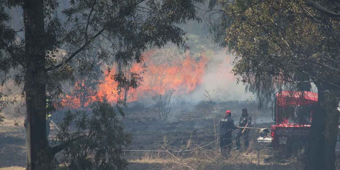 Puebla reforzará con apoyo federal combate a tala clandestina e incendios forestales