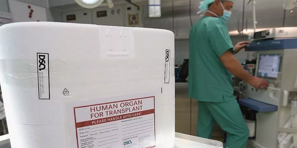 Archivo. Caja para transportar órganos humanos. Clínica Vivantes Neukoelln en Berlín, Alemania. (Foto: Sean Gallup/Getty Images)