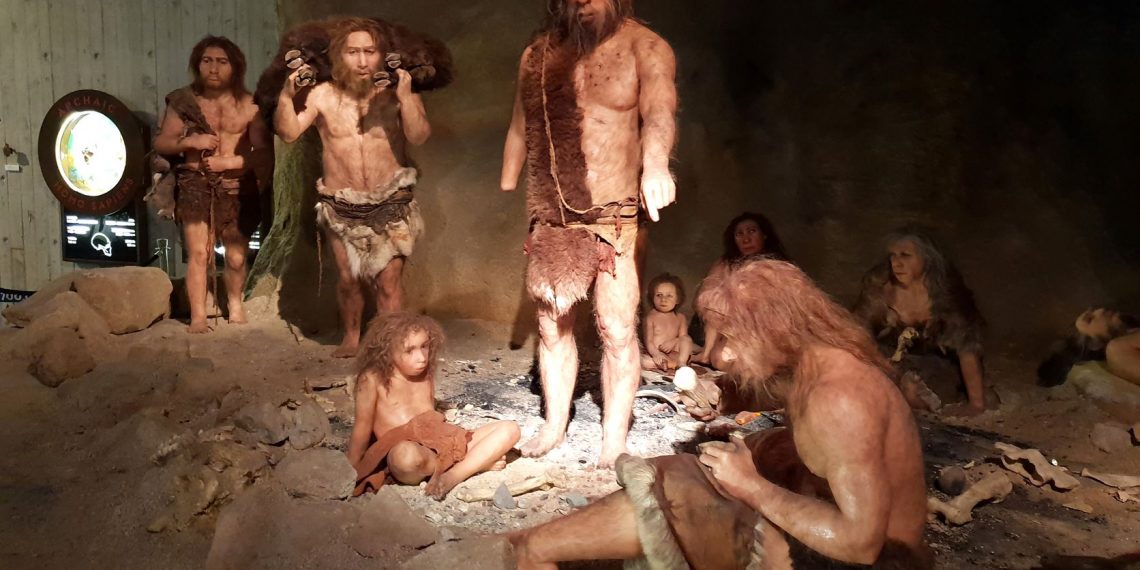 Neandertales y seres humanos