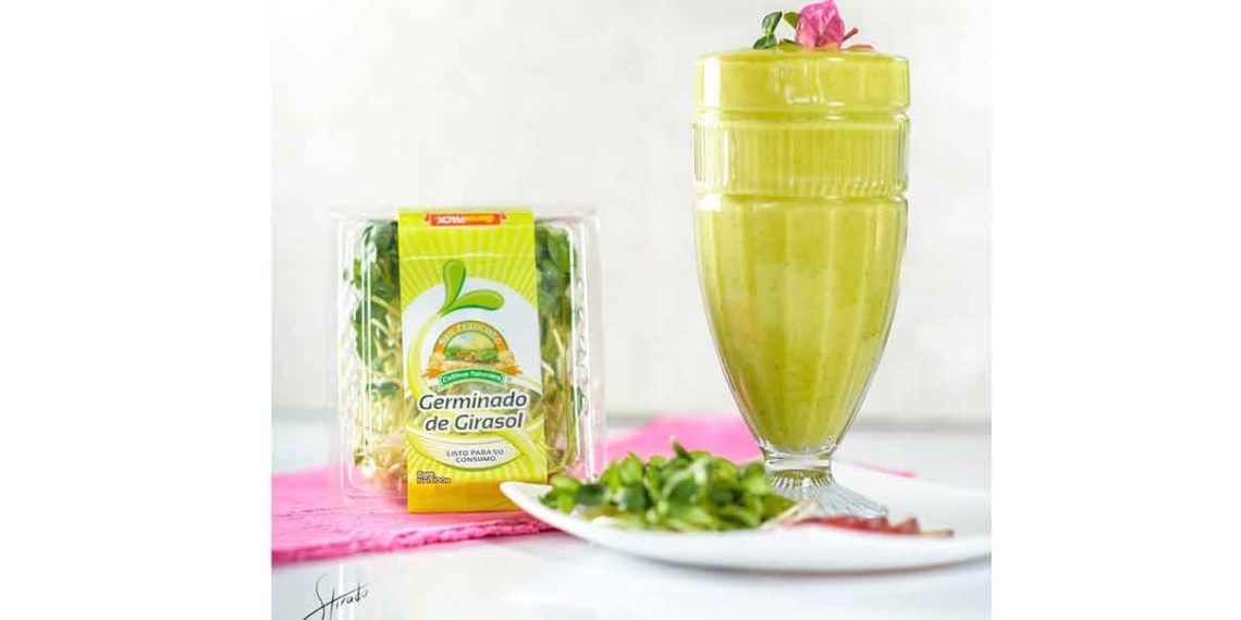 Microverde de girasol, alimento vivo para la vida